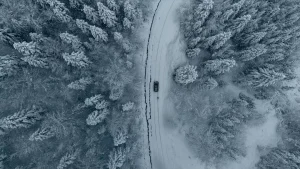 Kar, Samsun ve Sinop’un Yüksek Kesimlerini Vurdu