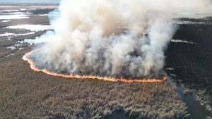 Karamık Gölü’nde sazlık yangını: 1 hektarlık alan etkilendi