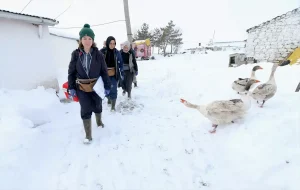 Kars’ta Kadın Veterinerlerin Özverili Aşı Çalışmaları