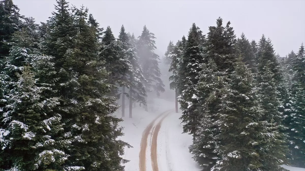 Kastamonu’da Sis Etkili Oldu