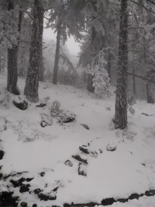 Kazdağları’nda Kar Yağışı Etkili