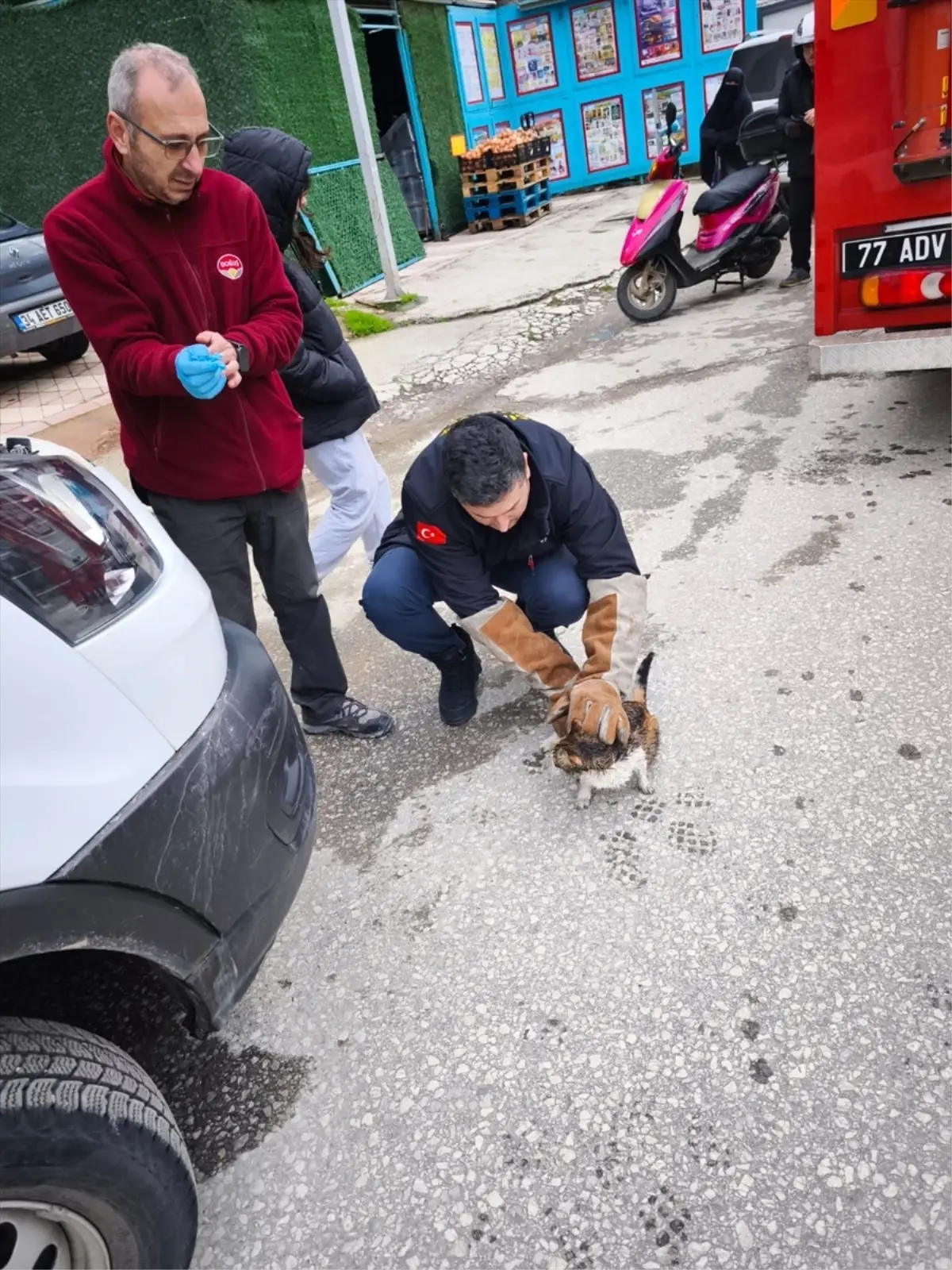 Kedi İtfaiye Ekipleri Tarafından Kurtarıldı
