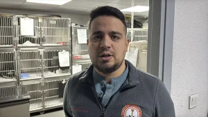 Kedi Midesinden Vakum Tutucu Çıkarıldı