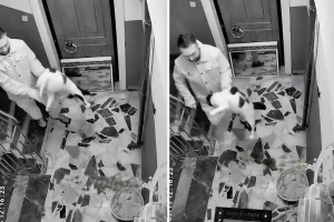 Kediyi darbedip apartmandan dışarı attı