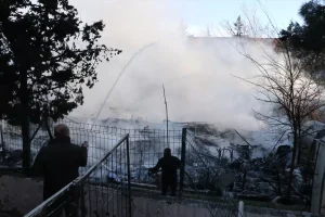 Kilis’te Yangında Mahsur Kalan 6 Yavru Köpek Kurtarıldı