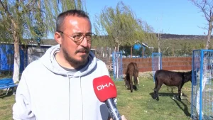 Kırık Ayağıyla Terk Edilen Katır Hayata Döndü