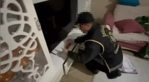 Kırmızı Bültenle Aranan Suç Örgütüne Operasyon