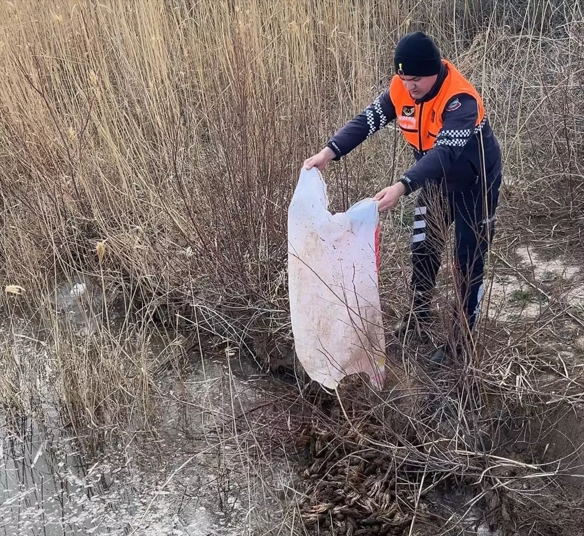 Kırşehir’de Kaçak Balık Avcılığına Düşen Yakalandı