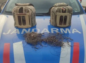 Kırşehir’de Tuzakla Keklik Avına Operasyon