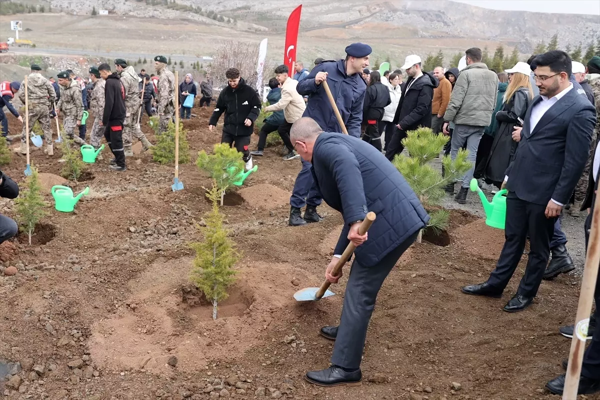 Konya’da 10 Bin Fidan Dikildi