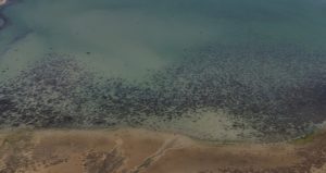 Konya’da barajlar doldu ama tehlike geçmedi: 10 bin yıllık fosil suları kullanıyoruz