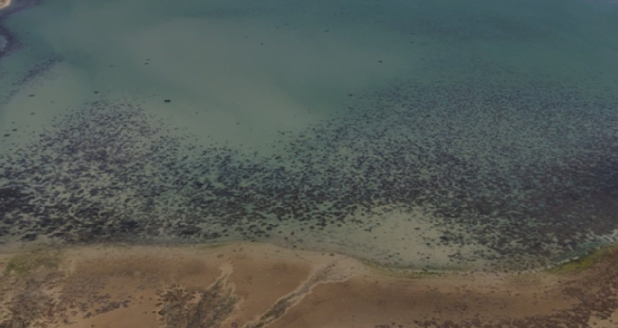 Konya’da barajlar doldu ama tehlike geçmedi: 10 bin yıllık fosil suları kullanıyoruz