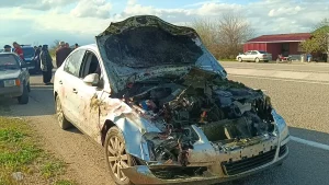 Kozan’da Koyun Sürüsüne Otomobil Çarptı