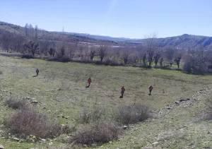 Kulp’ta 84 Yaşındaki Salih Ertaş İçin Arama Çalışmaları Sürüyor