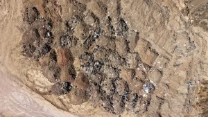 Kumköy’de Doğa Katliamı: 1500 Foseptik Çukuru Bulundu