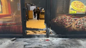 Kundakçı Zanlısı Bursa’da Yakalandı