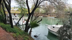 Manavgat’ta Kadın Cesedi Bulundu