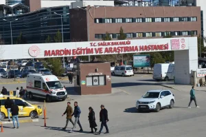 Mardin’de Kadın Otomobilin Çarpması Sonucu Hayatını Kaybetti