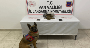 Mezarlık yakınında 1 kilo skunk yakalandı