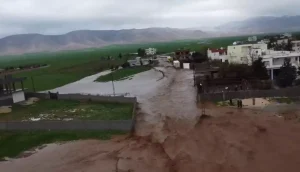 Nusaybin’de Sel Felaketi: Mahalle Su Altında