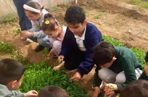 Öğrenciler Serada Üretim Yapıyor