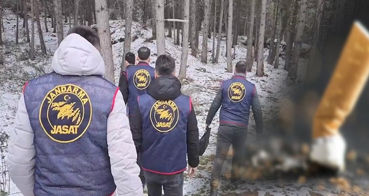 Ormanda kemiklerin gizemini izmarit çözdü: İki kadına aitmiş!