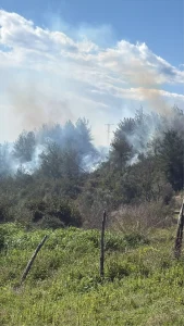 Osmaniye’de Orman Yangını Söndürüldü