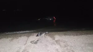 Otomobil İznik Gölü’ne Uçtu: Sürücü Yaralı