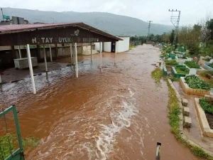 Reyhanlı’da Sel Tehlikesi: Çoban Kuzuları Kurtardı