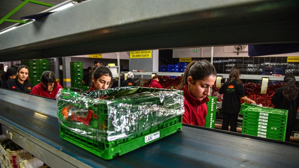 Rusya, İran savaşı sonrası sebze ihtiyacını Türkiye’den karşılamaya başladı