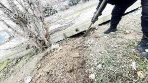 Sahipsiz Köpek Beton Bloğun Altında Mahsur Kaldı