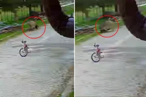 Saldırgan eşek, 5 yaşındaki çocuğa kabusu yaşattı