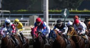 Şampiyon yarış atını sakatlanınca kuşbaşı yapıp belediyeye satmışlar