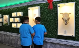 Samsun’da Doğa Müzesi Açıldı