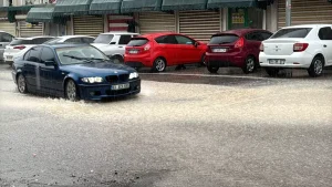 Şanlıurfa’da Sağanak Yağış Hayatı Olumsuz Etkiledi