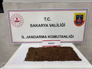 Sapanca’da Uyuşturucu Operasyonu: 1 Tutuklama