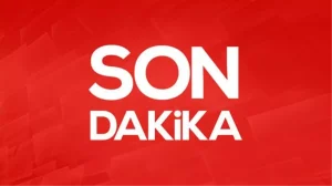 Şarkıcı Edis yurt dışı dönüşü gözaltına alındı