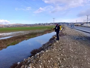 Siirt’te Haşere Mücadelesi