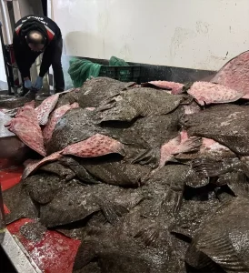 Sinop’ta Kaçak Avcılığa Ceza