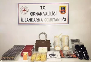 Şırnak’ta 103 Şüpheliye Adli İşlem