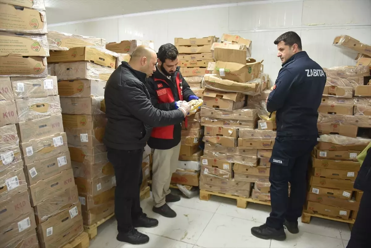 Siverek’te 50 Ton Bozuk Tavuk Eti İmha Edildi