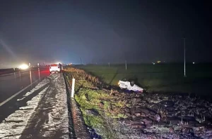 Siverek’te Otomobil Devrildi: 6 Yaralı