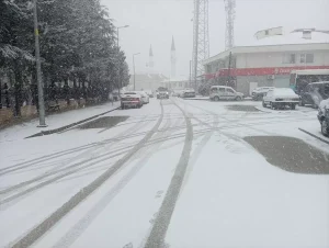 Sivrice’de Kar Yağışı Etkili Oldu