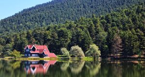 Talanlara nokta atışı