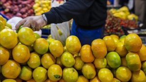 Tarım ve gıda sektörüne ocak ayı ihracatı: 2,4 milyar dolar