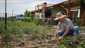 Tarım ve ormana yönelik düzenlemeleri içeren kanun teklifi komisyonda