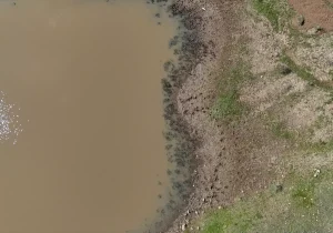 Taşlık Göleti’nde Su Seviyesi Arttı