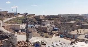 Tek bir inekte görüldü, tüm mahalle karantinaya alındı