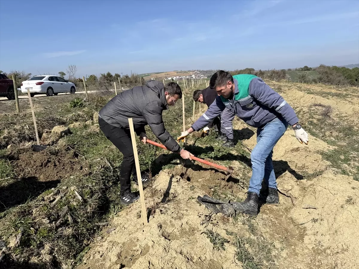 Tekirdağ’da Fidan Dikimi Etkinliği