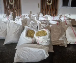 Tekirdağ’da Uyuşturucu ve Silah Operasyonu